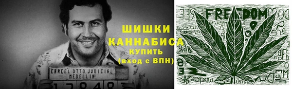apvp Вязьма