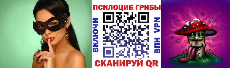 Галлюциногенные грибы мицелий  Ершов 